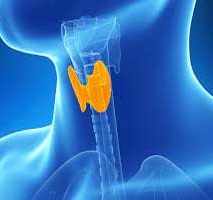 دکتر سرطان تیروئید در طرشت