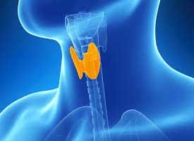 دکتر سرطان تیروئید در طرشت
