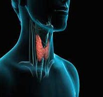 دکتر سرطان تیروئید در قبا
