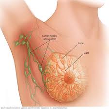 best breast cancer surgeon in ahmedabad