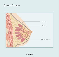 best breast cancer surgeon in kolkata