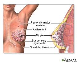 best breast cancer surgeon uk