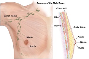 breast cancer surgeon dallas