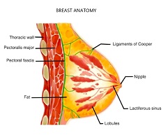 breast cancer surgeon in karachi