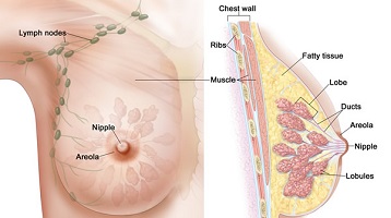 breast cancer surgeon royal marsden